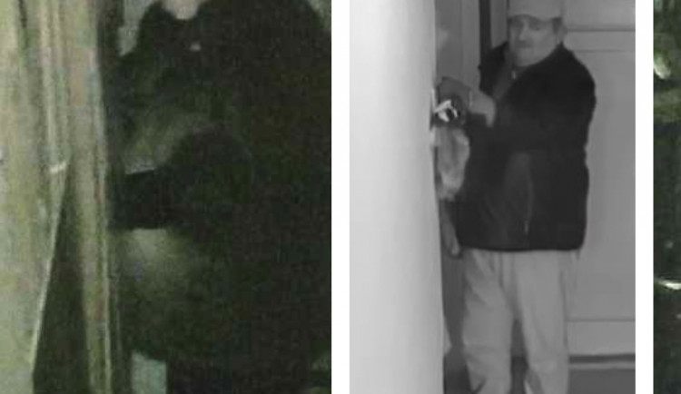 Policie České republiky