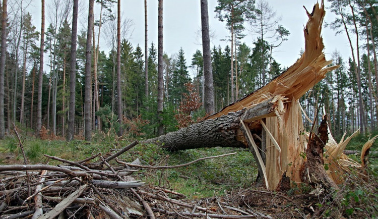 VÝSTRAHA: Na Česko se žene vichřice, zasáhne celý Jihočeský kraj