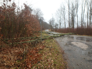 HZS Královéhradeckého kraje