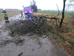 Energetici vyhlásili kvůli silnému větru v Královéhradeckém kraji kalamitní stav