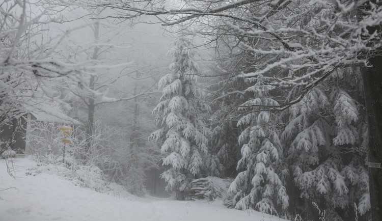 ilustrační obrázek