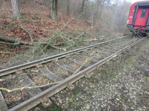 Dvůr Králové nad Labem