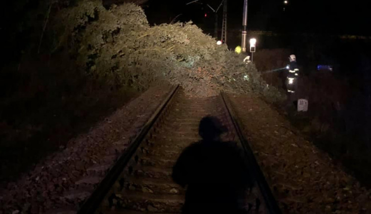 Strom na trati v Týništi nad Orlicí.