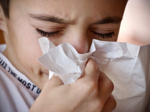 Epidemie chřipky v Královéhradeckém kraji stagnuje. Zatím na ní zemřeli tři lidé