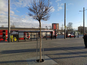 Hlavní nádraží Pardubice.