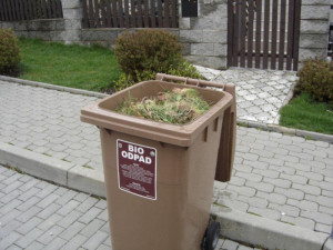 V Trutnově se začne svážet od dubna bioodpad