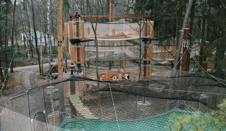 3D bludiště v korunách stromů.