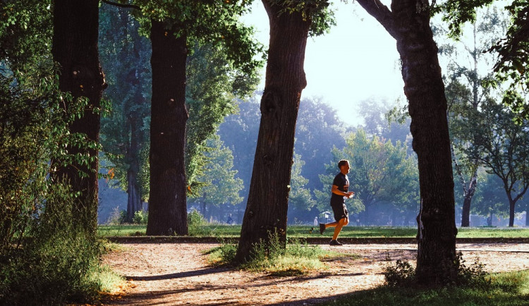 Od zítřka bude možný běh v přírodě bez roušky/ ilustrační foto