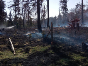 Pálení větví a suché trávy zaměstnávalo v Královéhradeckém kraji hasiče. Při požáru domu se pak jeden zranil