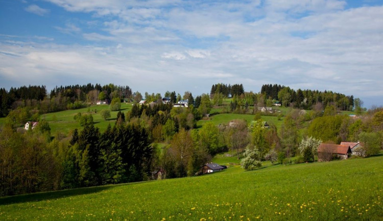 Horská louka v Krkonoších