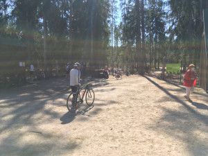 Městské lesy Hradec Králové.