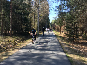 Městské lesy Hradec Králové.
