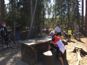 Městské lesy Hradec Králové.