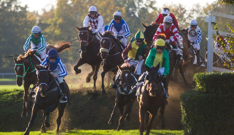foto ze 129. Velké pardubické se Slavia pojišťovnou
