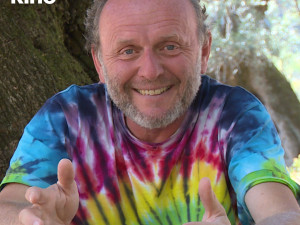Kina znovu promítají, streamují online i s chatem