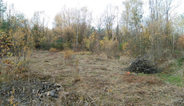 Přírodní lokalita na Plachtě v Hradci Králové
