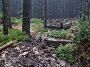 Krkonoše trápí sucho. Správa parku obnovuje množící tůně