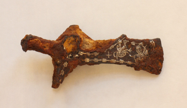 Nálezce ptačí sekerky dostane nálezné. Celkem 60 tisíc korun