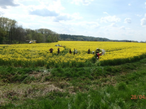 Řidička osobního vozu nepřežila srážku s motorkářem. Toho do nemocnice transportoval vrtulník