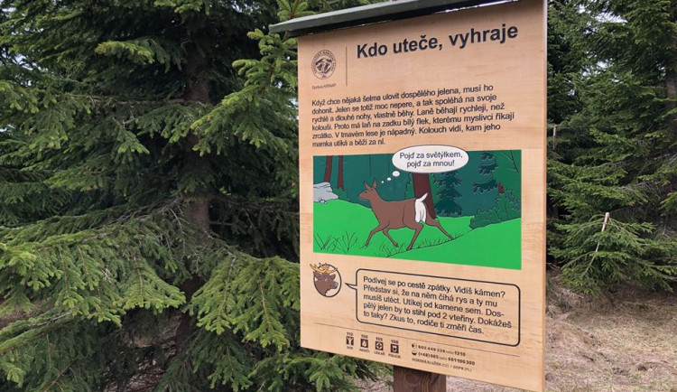 V Krkonoších byla otevřena naučná stezka o jelenech