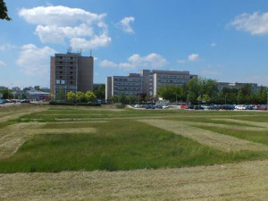 FOTO: Pracovníci technických služeb poděkovali zdravotníkům hradecké Fakultní nemocnice. Na trávníku jim vysekali modrou hvězdu života