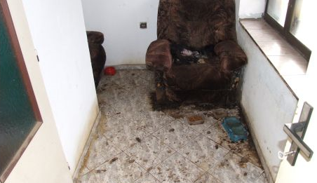 Majitelka po půl roce utýrala dva své psy. Teď jí hrozí tři roky vězení