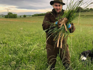 Sekačky zabijí tisíce srnčat, zachránit se je snaží myslivci i dobrovolníci