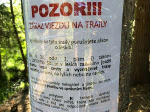 Městské lesy vystaví oficiální trailové tratě pro cyklisty, ty současné nebyly povolené. Část z nich ale zůstane zachována