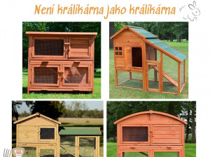 Slepičář: O slepice je stále větší zájem. Lidé chtějí žít zdravě, mít ke snídani domácí vajíčka