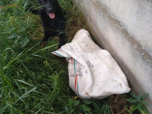 Zloději se vydali pro nářadí na stavbu D11. S dodávkou zapadli v rozbahněném poli