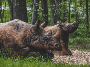 Nosorožci vyřezaní ze dřeva