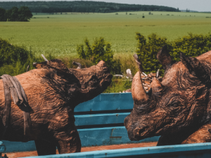 Převoz nosorožců vytesaných ze dřeva