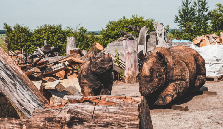 Nosorožci vyřezaní ze dřeva