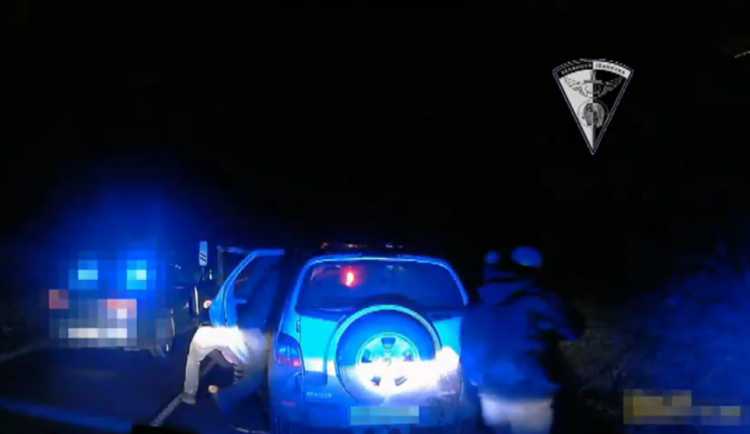 Únorové zadržení cizinců zásahovou jednotkou