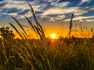 POČASÍ NA SOBOTU: Meteorologové slibují teploty až u 29 stupňů