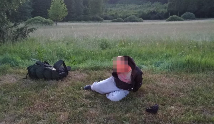 Policejní pes Meddy vypátral sériového zloděje. Vykradl 13 chatek na Rychnovsku