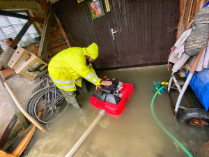 Lupenice na Rychnovsku