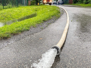 Lupenice na Rychnovsku