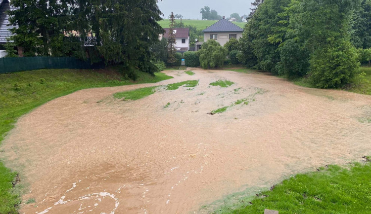 Lupenice na Rychnovsku