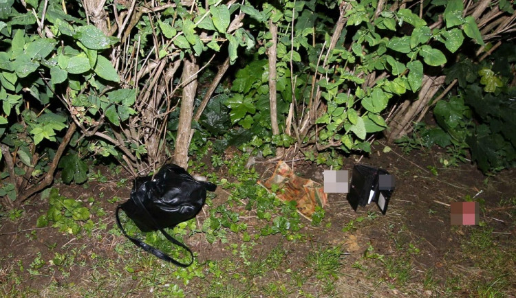 Kabelka, kterou mladík ukradl a odhodil v křoví