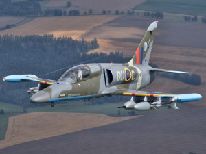 Bojový letoun L-159 ALCA/ foto Martin Král