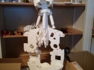 FIM Bot