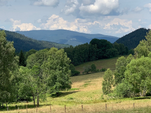 Ornitologové velmi ocení, pokud jim pošlete údaje z kroužku nalezeného mrtvého ptáka