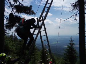 Paraglidista zůstal viset na stromě. Dolů ho sundali hasiči