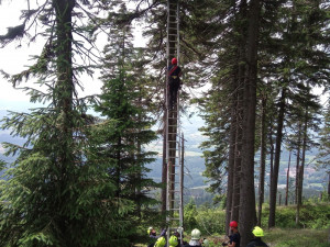 Paraglidista zůstal viset na stromě. Dolů ho sundali hasiči