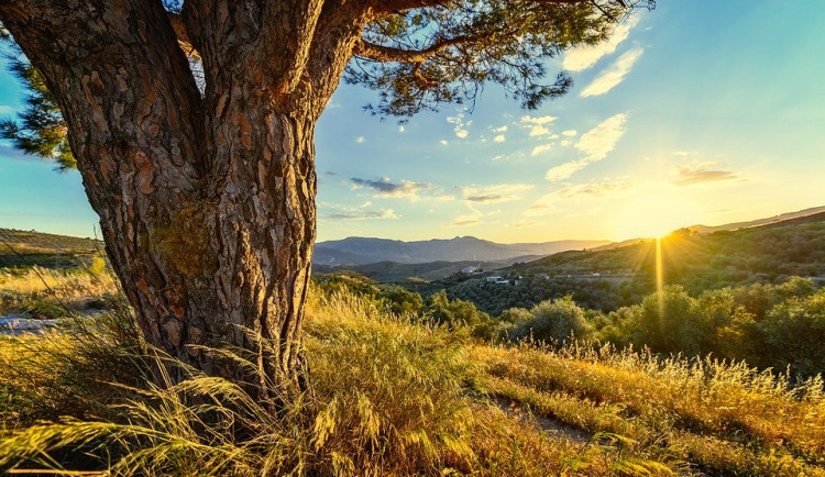 V Královéhradeckém kraji bude platit varování před požáry. Teploty se dostanou i na 31 stupňů