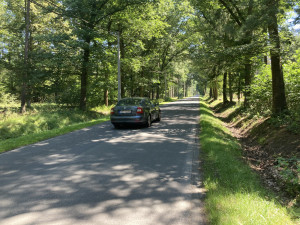 Hradec Králové: Okruh pro bruslaře v lesích chceme dokončit, není to však naší prioritou