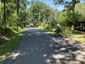 Hradec Králové: Okruh pro bruslaře v lesích chceme dokončit, není to však naší prioritou