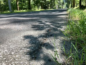 Hradec Králové: Okruh pro bruslaře v lesích chceme dokončit, není to však naší prioritou