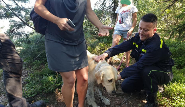 Pes se propadl do pět metrů hluboké skalní průrvy. Ven ho vytáhli až hasiči se speciálním vybavením